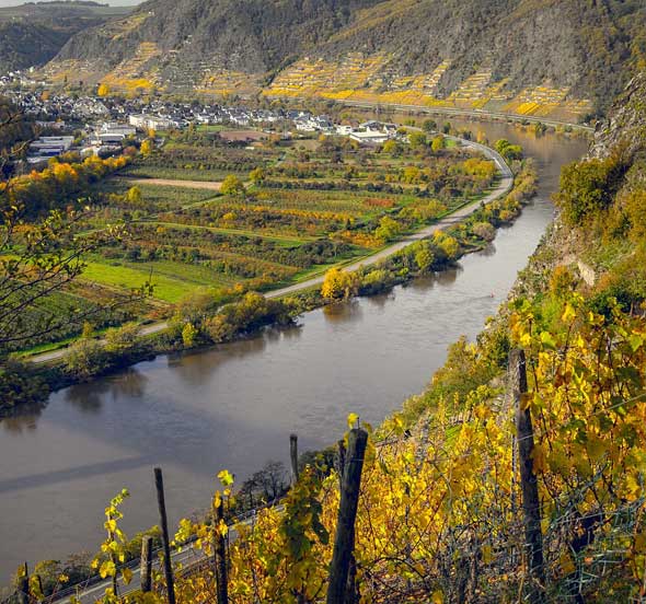 Wine River Cruises